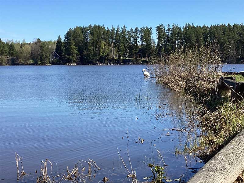 JUHANNUS 2024 - Mökki 5 - Leirintämökki 2:lle to-su 20.-23.6.2024 - Kajaniemi Camping