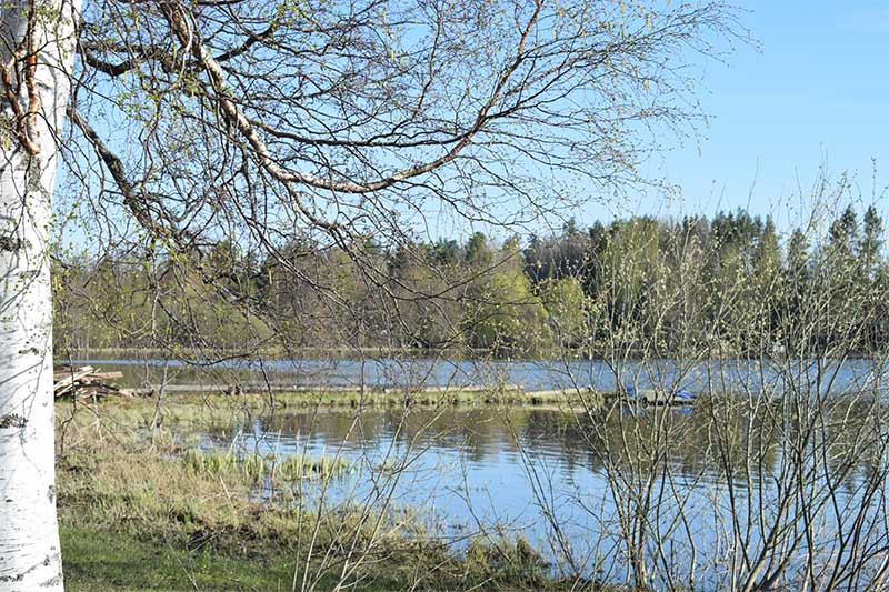 JUHANNUS 2024 - Mökki 6 - Leirintämökki 2:lle to-su 20.-23.6.2024 - Kajaniemi Camping