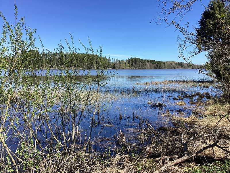 JUHANNUS 2024 - Telttapaikka rannassa -to-su 20.-23.6. 2024 - Kajaniemi Camping