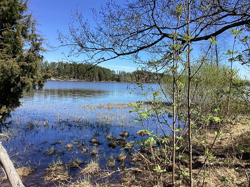 JUHANNUS 2024 - Telttapaikka - to-su 20.-23.6. 2024 - Kajaniemi Camping