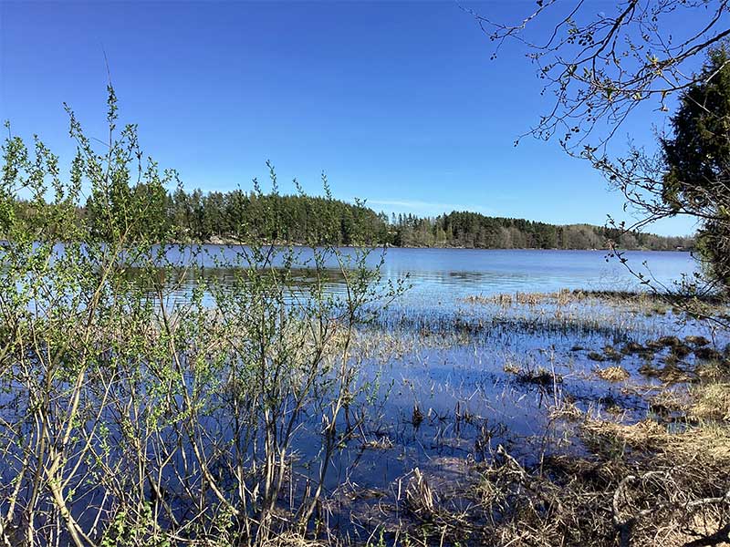 JUHANNUS 2024 - Vaunupaikka/yö - Kajaniemi Camping