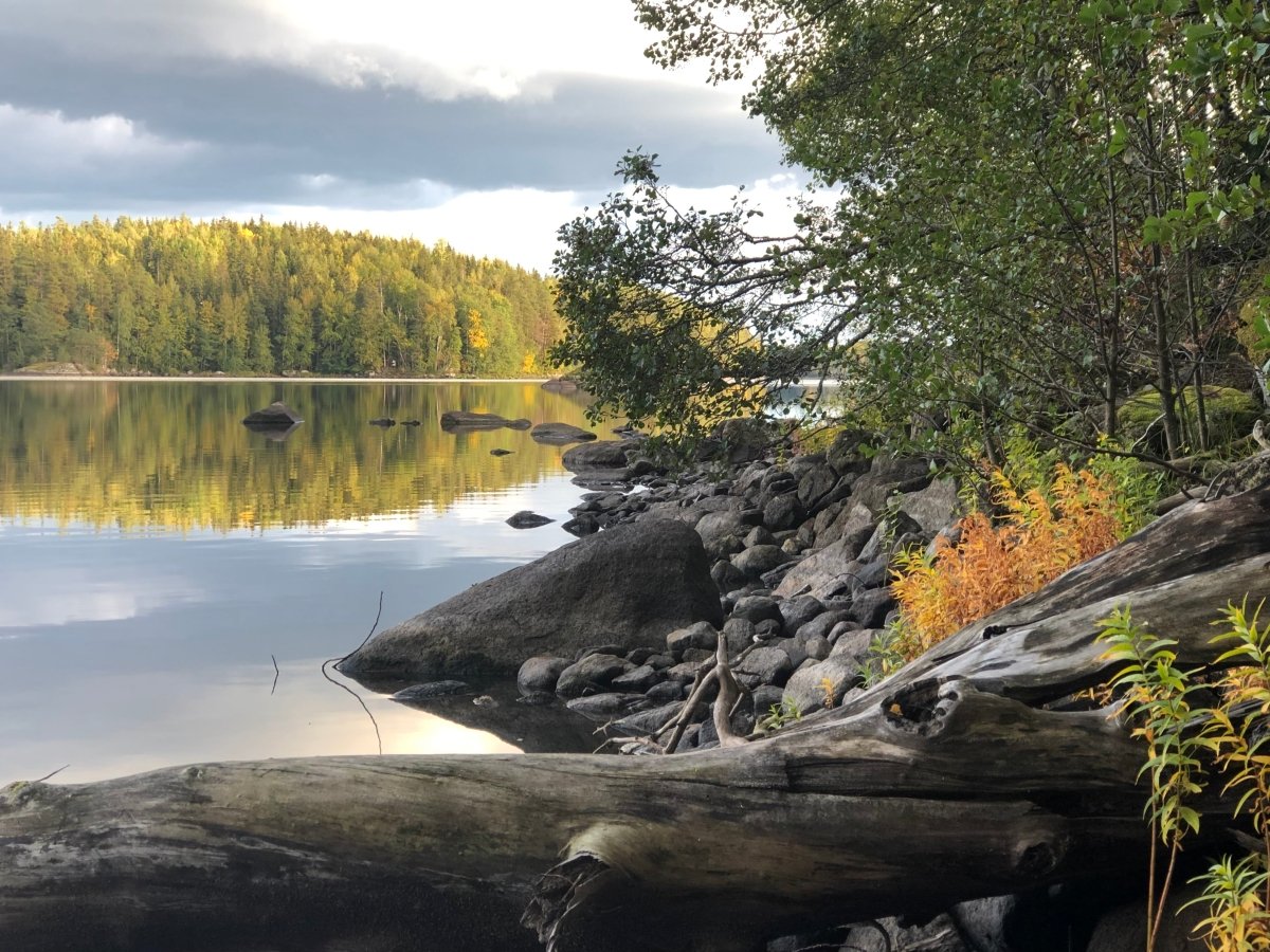 Polkupyörän vuokraus / päivä - Kajaniemi Camping