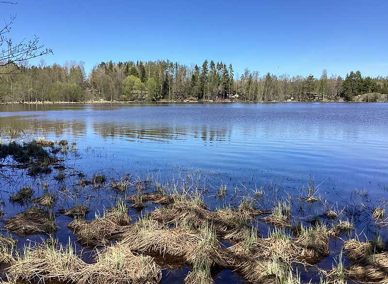 Asuntoauto- tai Asuntovaunupaikka / vrk - Kajaniemi Camping