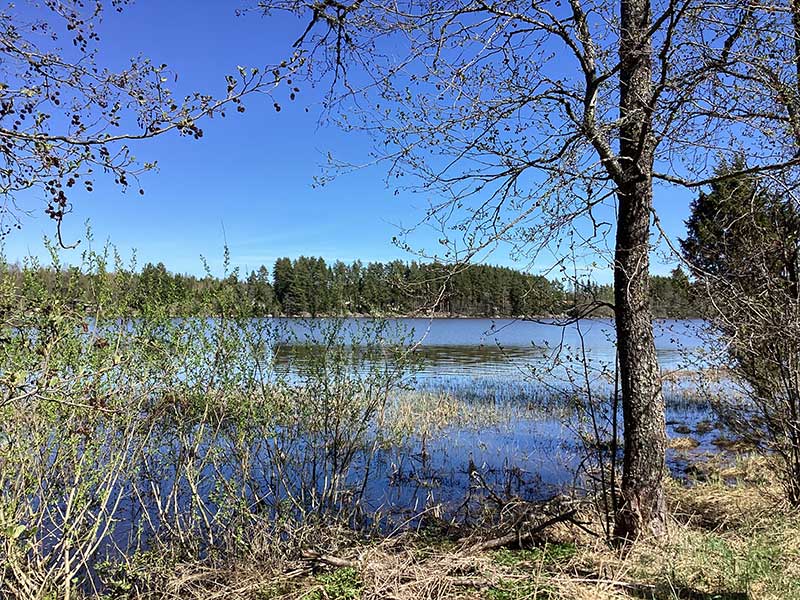 Mökki 1 - Leirintämökki 4:lle / vrk - Kajaniemi Camping