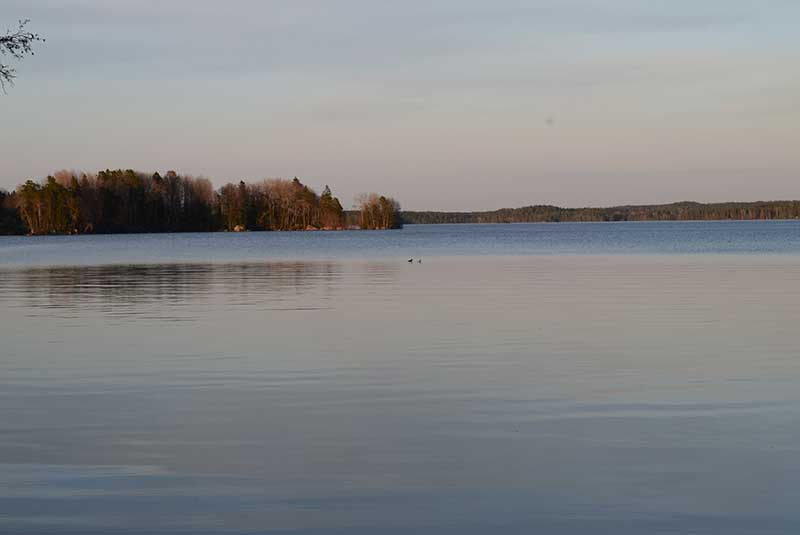 Mökki 9 / vrk, iso mökki - Kajaniemi Camping