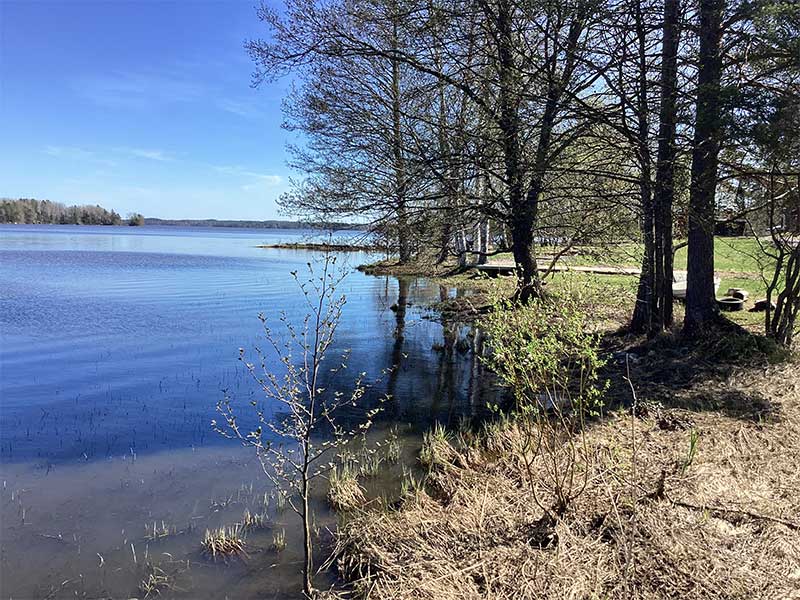 Mökki 9 / vrk, iso mökki - Kajaniemi Camping