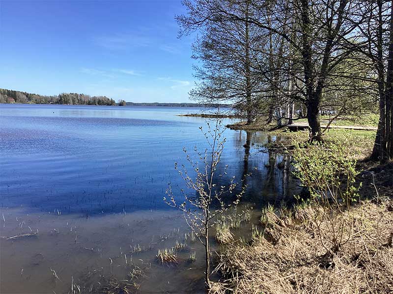 Telttapaikka rannassa / vrk - Kajaniemi Camping